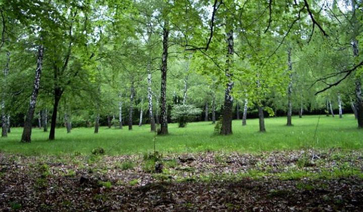 Zobraziť fotografiu